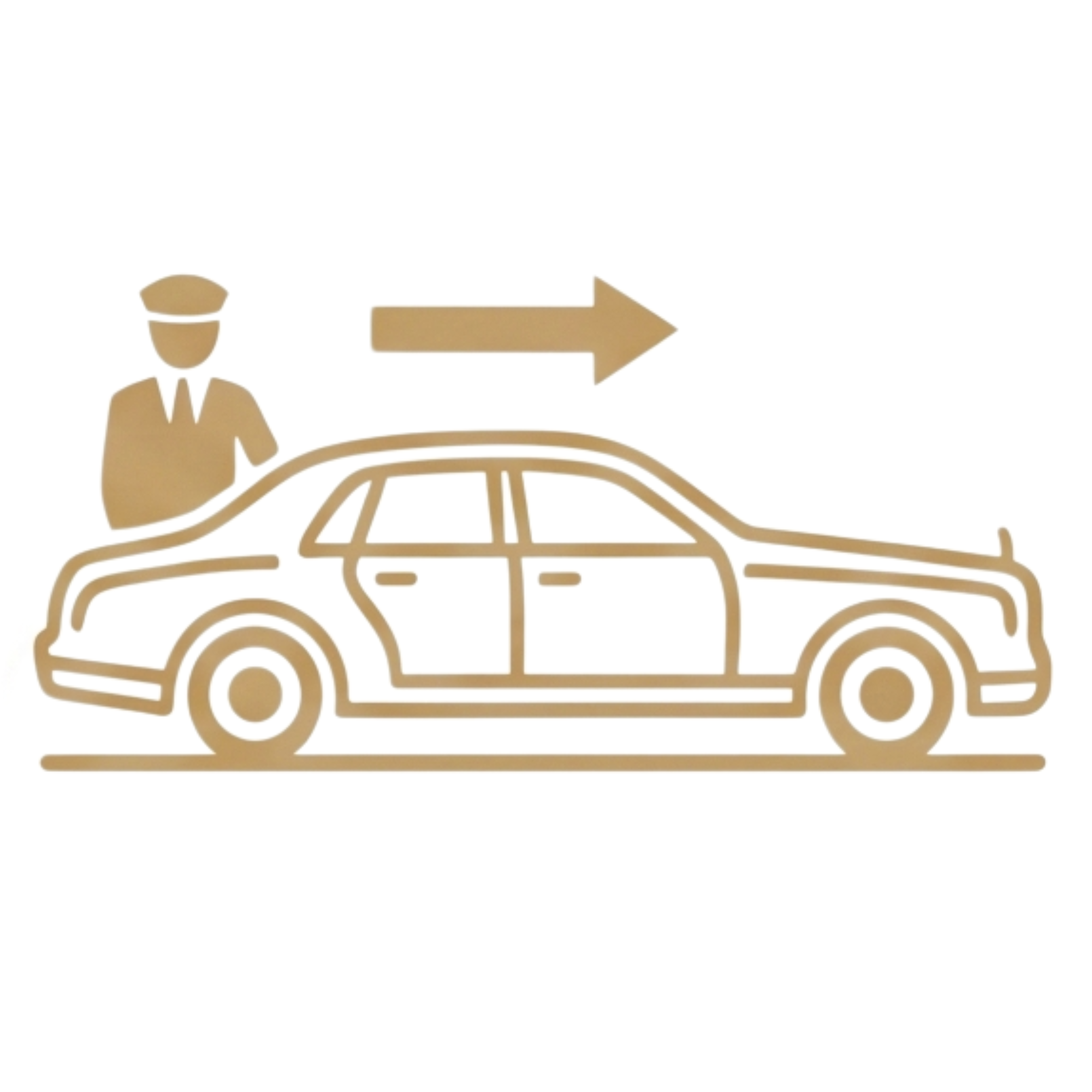 Transfer & Rental Cars