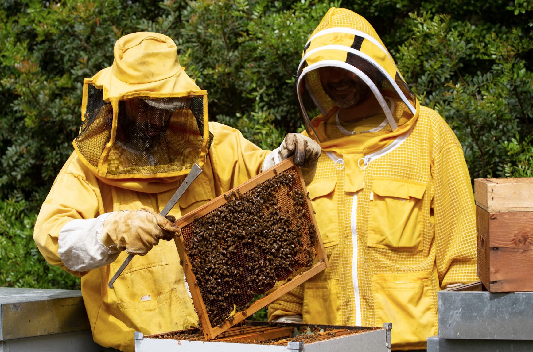 Honey Tasting Lab & Traditional Bread-Making