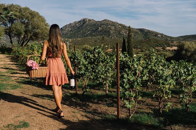 Wine Tasting in a Private Hidden Vineyard